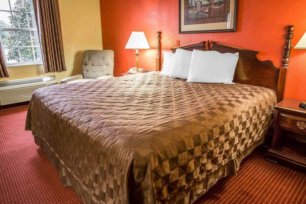 Quality Inn Williamston Zimmer foto